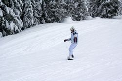 Alta Val Badia (146), Chiara R (43), Famiglia (61), Sci Alpino (290)